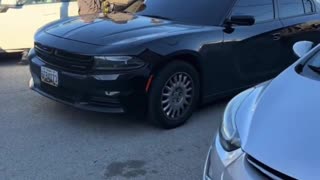 DHS agents detained some Juan in North Carolina today