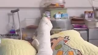 😂🙏 You Won't Believe This Hilarious Sympathy Giggle! | FunFM