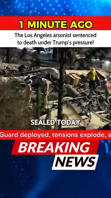 breaking news cnn breaking news fox breaking News #media #newsupdate #love #politics