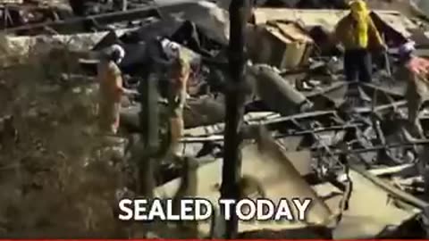 breaking news cnn breaking news fox breaking News #media #newsupdate #love #politics