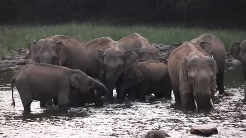 I can't believe that THIS IS INDIA