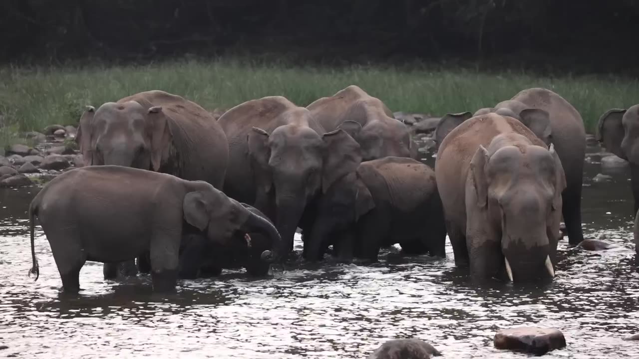 I can't believe that THIS IS INDIA