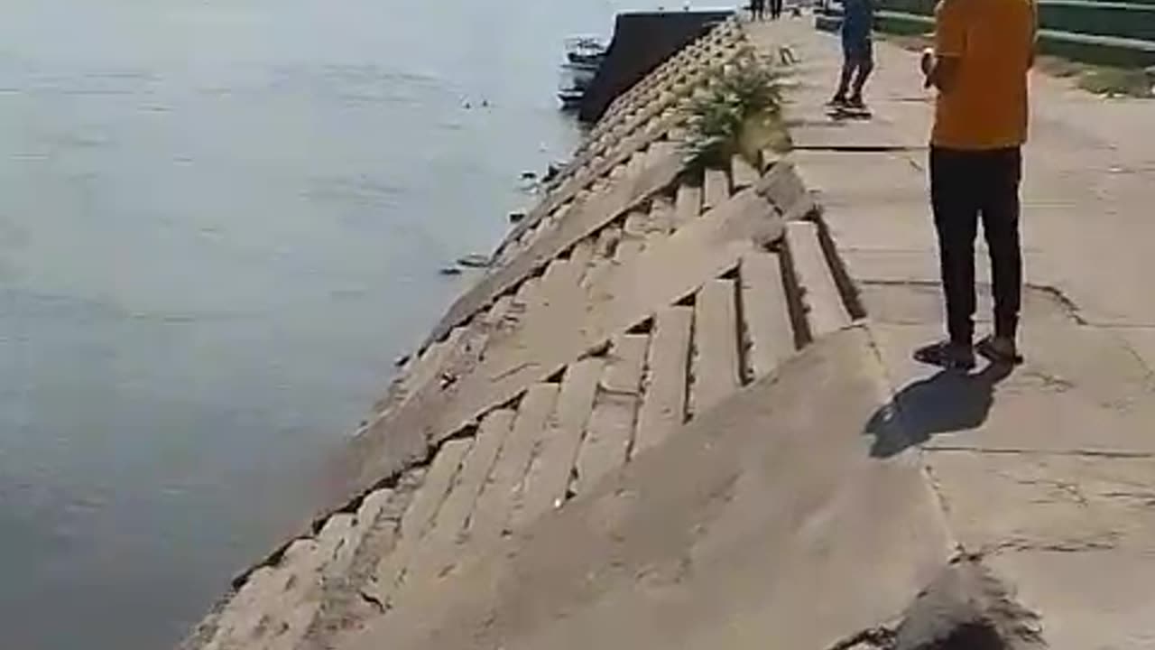 Vendedor desaparece en el río Magdalena tras huir de un enjambre de abejas en El Banco