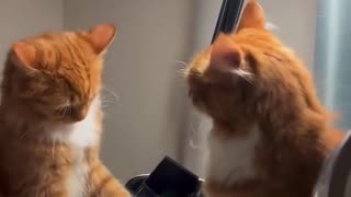 😱🤣 No Winners Here! This Game Is Hilarious! | FunFM