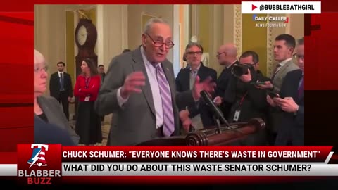 Chuck Schumer: “Everyone Knows There’s Waste In Government"