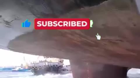 Man vs. Cargo Ship The Deadly Stunt That Went
