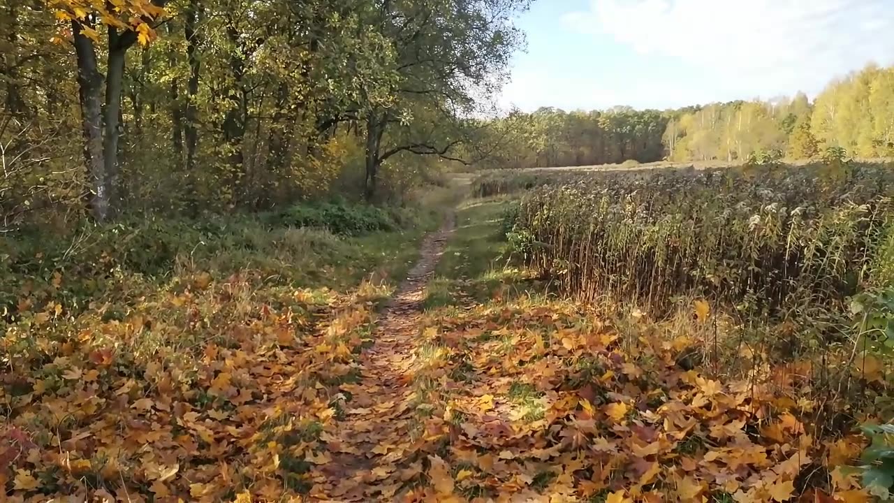 moja aktualizacja ...