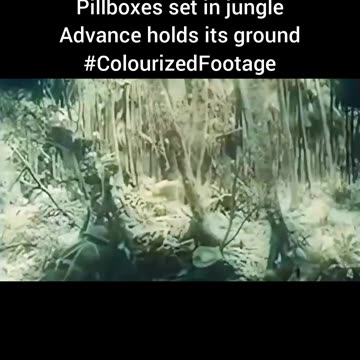 New Guinea Assault 1943