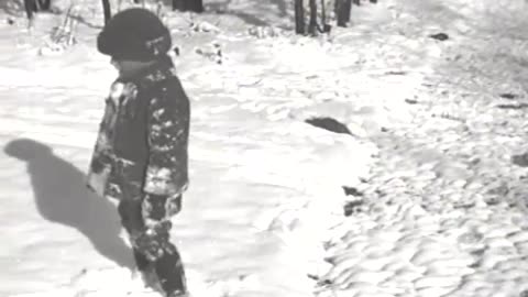 Dahlinger Album - Dahlinger Album - fc-fc-1477