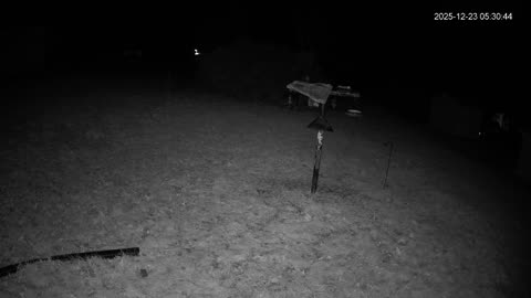 Bird Feeder in Western Maryland USA