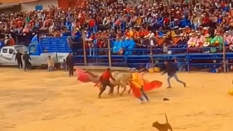 Heart-Stopping Bullfight – You Won't Believe This! 🔥