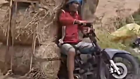 Try Not To Laugh Funny Videos