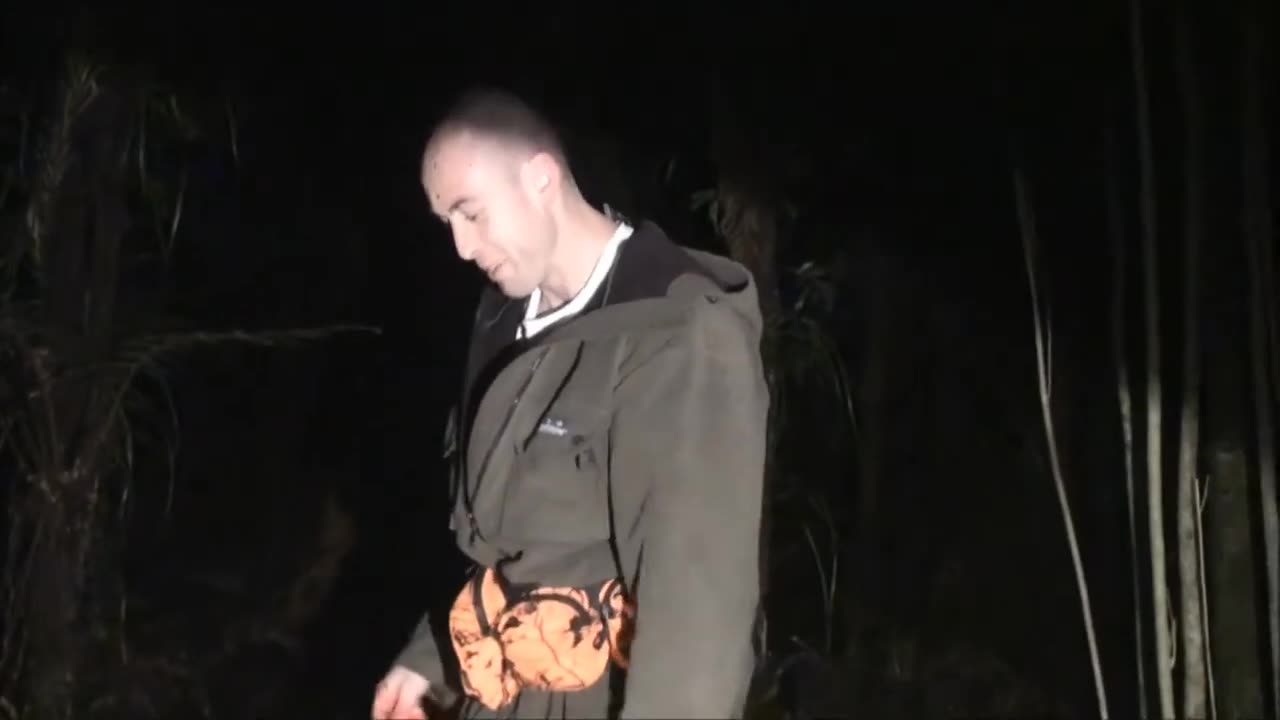 Day/Night hunt
