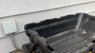 CAMMOO Dump Cart Review