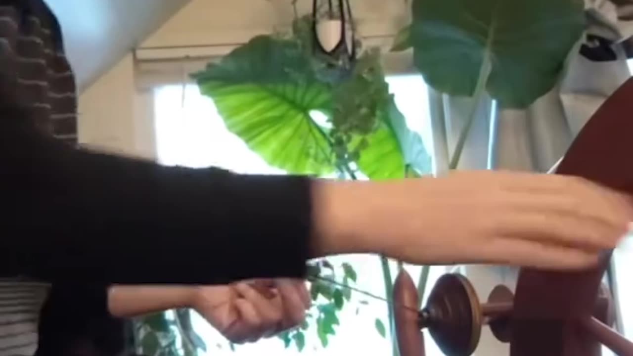 Hair Hat
