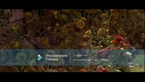 Mrs. Doubtfire The Director's Cut Part 6