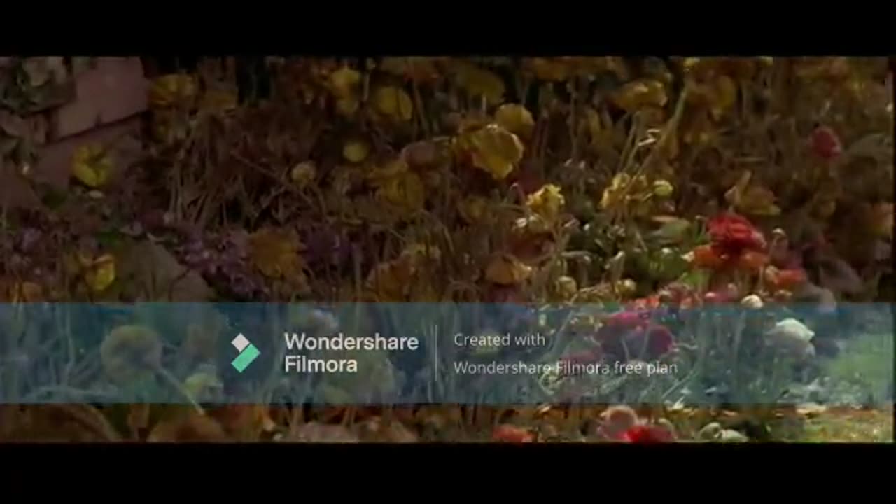 Mrs. Doubtfire The Director's Cut Part 6