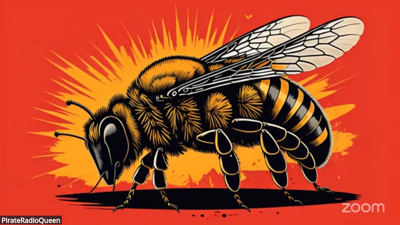 Grillin' w/PirateRadioQueen