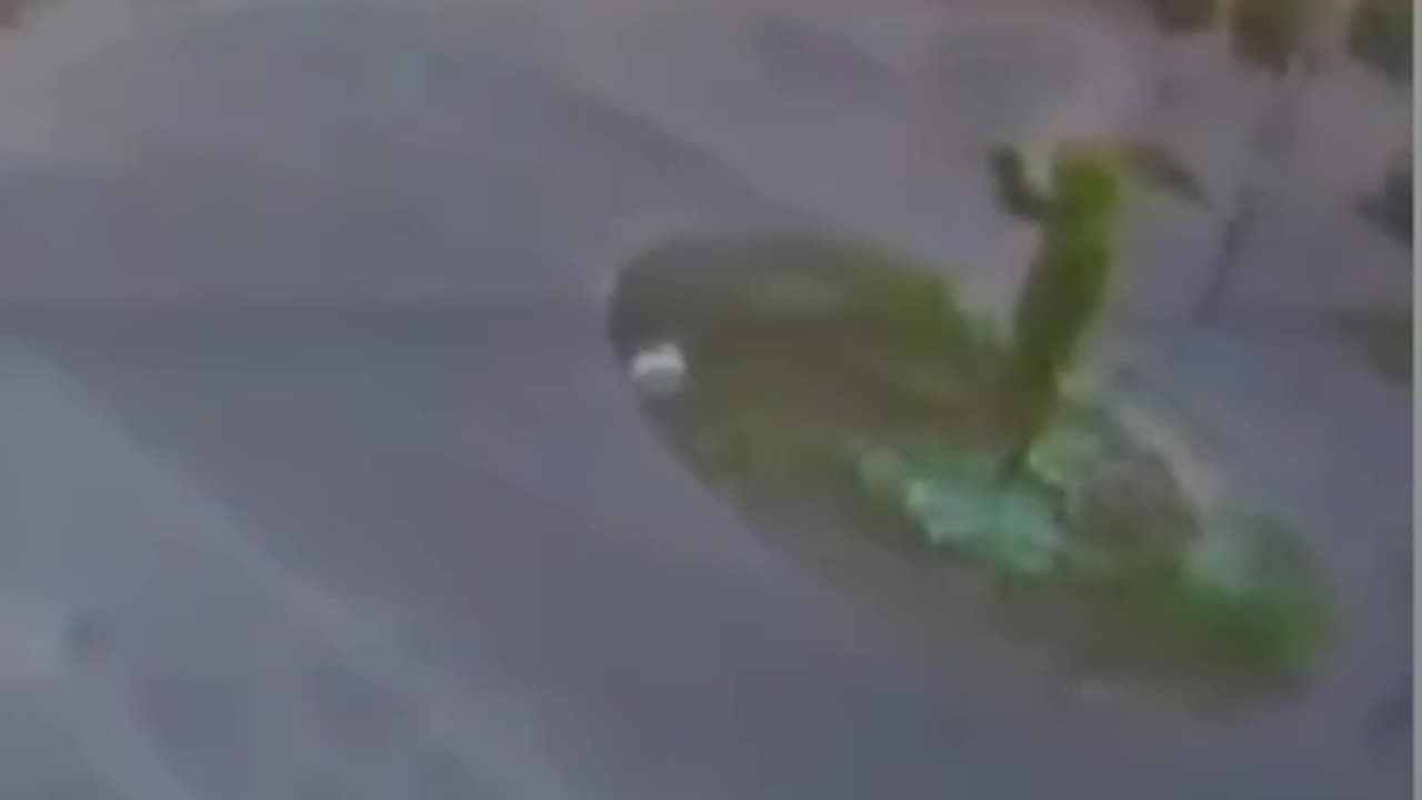 dramatic moments of the drone crash in Eilat