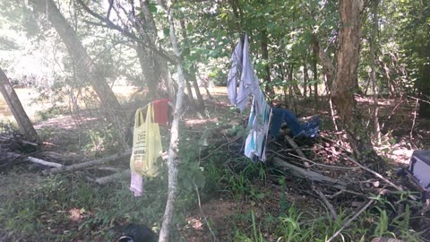 Natures Clothesline