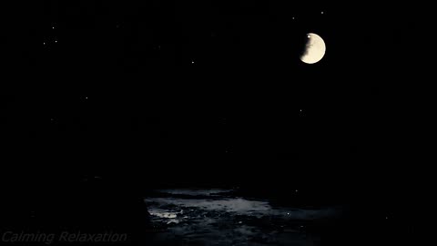 Whispers of Night Nature – Fall Asleep Naturally and Overcome Insomnia