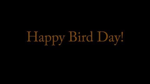 Gabi's High Tide Adventure