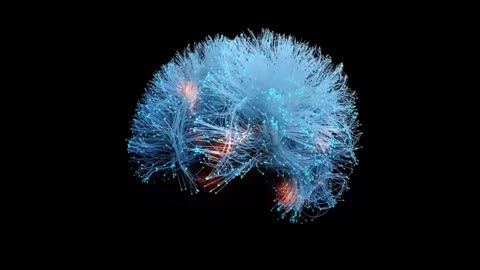 Your brain is designed to protect, not to please. Learn to control it.