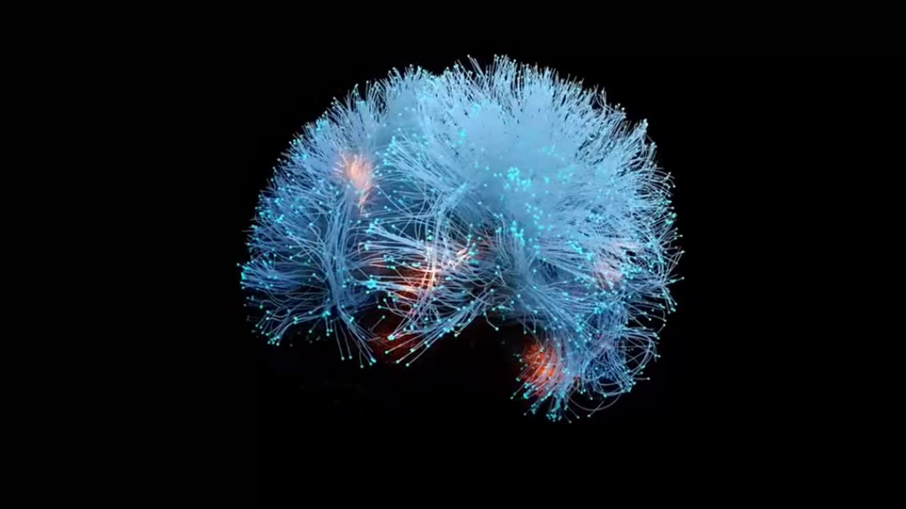 Your brain is designed to protect, not to please. Learn to control it.