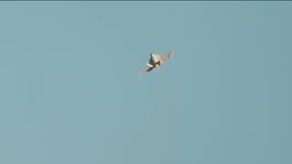 Above, Below & Beyond: A Presidential Special