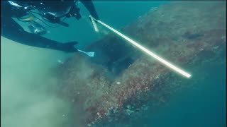 Above, Below & Beyond: A Presidential Special