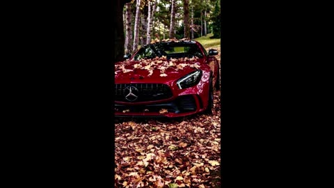 Whispers of the Night | Calm Winds | Endless Dreams