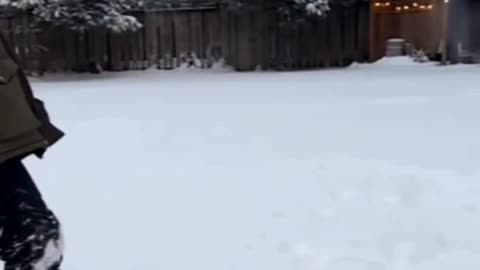 🐶❄️ My Dog Just Found the Snow… And His Happiness Is Contagious 😂❤️