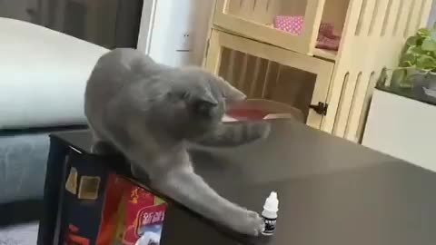 having doubts between being the good guy or the bad guy. 😻😅