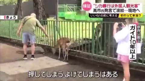 2025年09月30日 【日テレ】【それって本当?】“シカ暴行は外国人観光客”高市氏の発言で波紋 現地へ