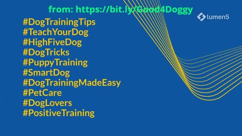 Teach Your Dog to High-Five in 3 Simple Steps (Beginner Friendly!)