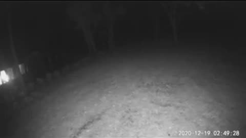 😱👀 Motion Camera Catches Tall Creature! Unbelievable Footage! | TheHauntingHour