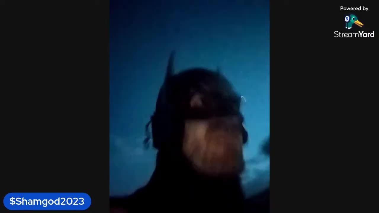 This Is Why I'm Batman!! 🦇