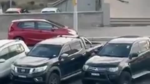 The 2 dogs in Bondi Beach have been neutralised