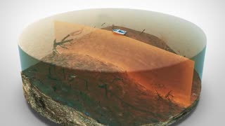 Waritas - #001 - Zo wordt Nederland. Laten we dat gebeuren