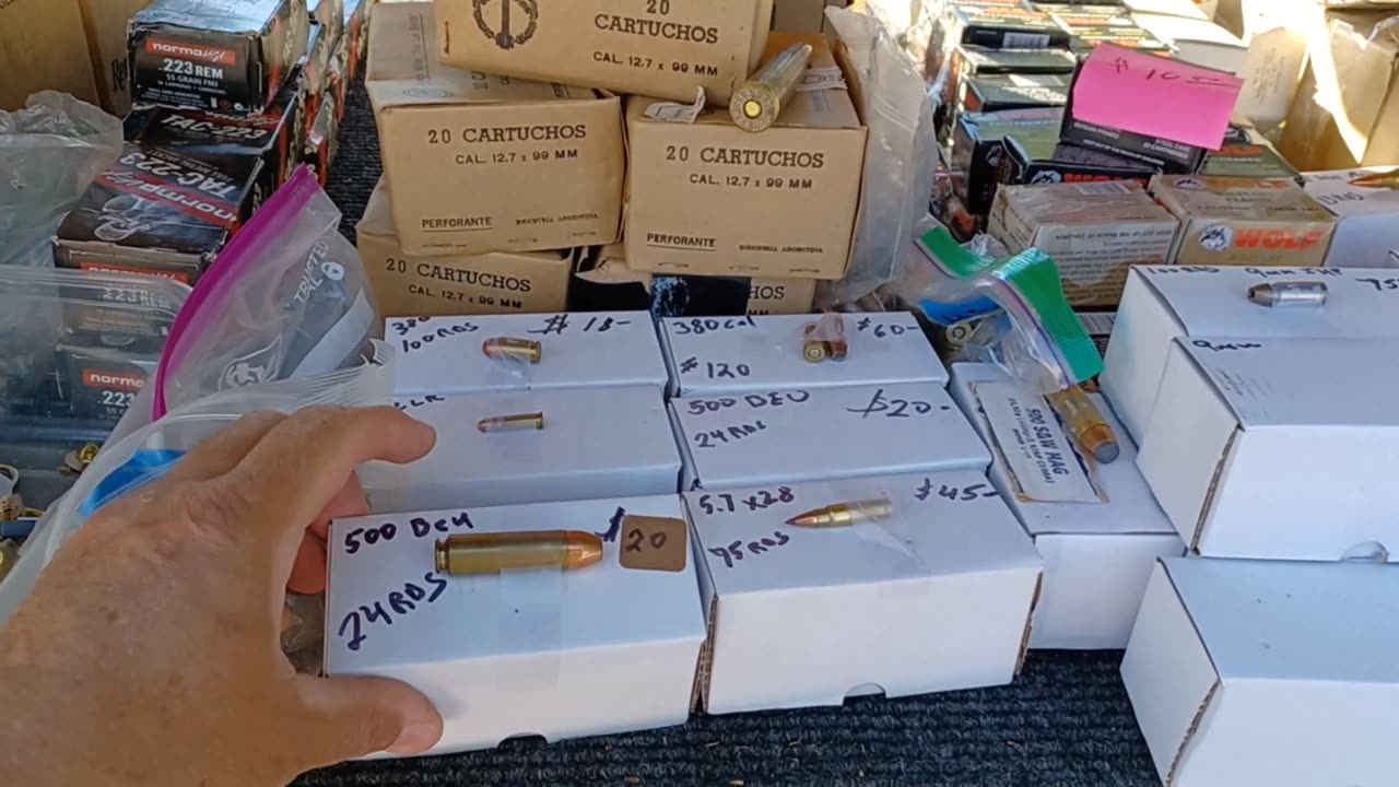 Garage Sailing 20260102