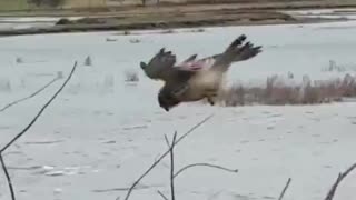 I'd ask you to explain this