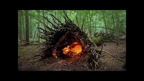 Building a Cozy Shelter Deep in a Hollow Tree - Bushcraft Survival Skills