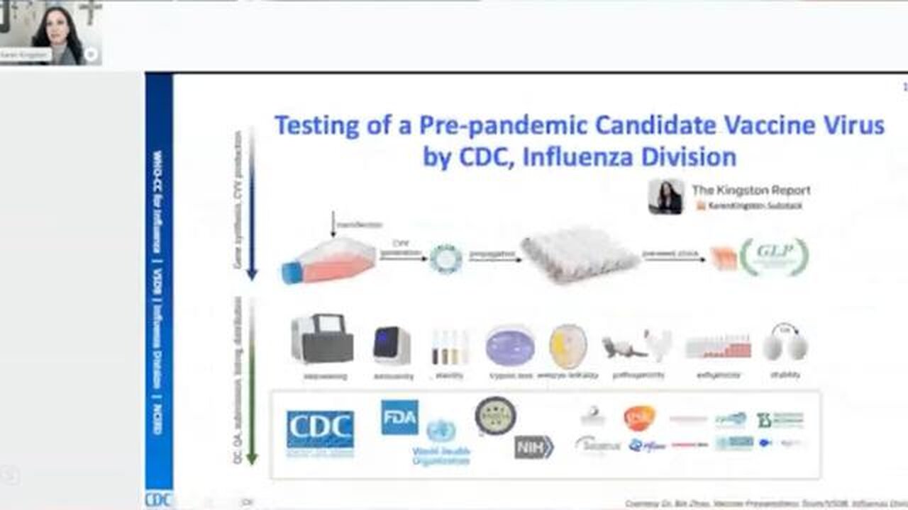 LOCKED AND LOADED- DOCUMENT PROVES PLAN FOR BIRD FLU "PANDEMIC" FEATURING KAREN KINGSTON