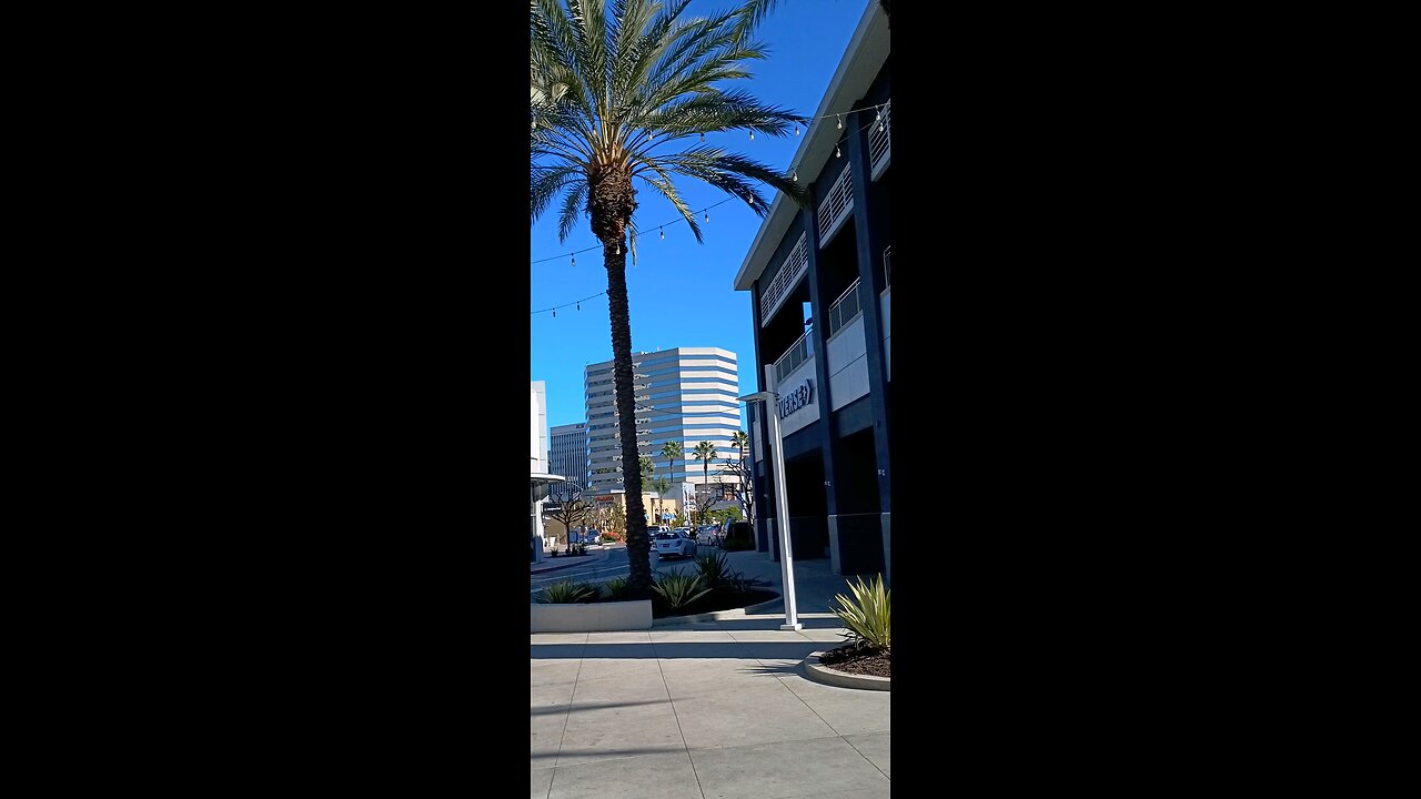 Animé Los Angeles Long Beach CA 2 1.12.2025 #cosplay