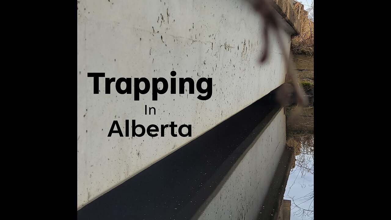 Canadian Trapping - Adventures In Alberta