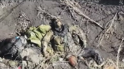 Война в Украине часть 454