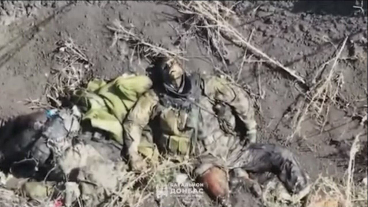 Война в Украине часть 454