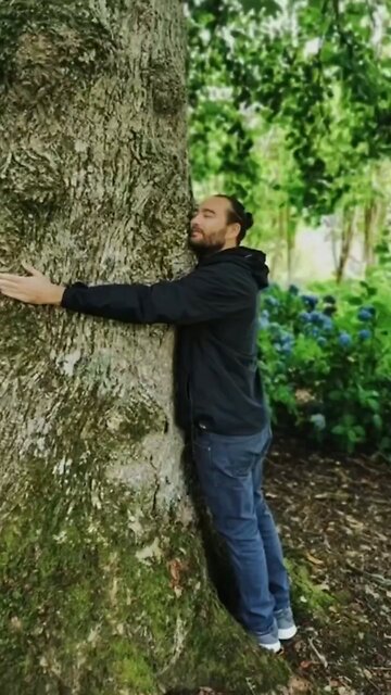 They don't tell you the truth about Trees🌲🌳