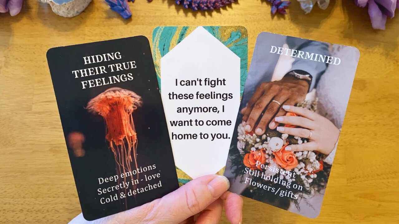 They are READY to chase you like CRAZY after holding back their feelings 😘 (COLLECTIVE LOVE READING)