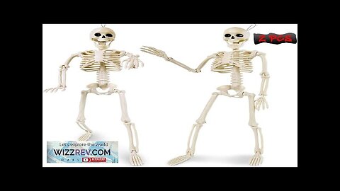 2 Pack Halloween Skeleton Decorations 16" Poseable Skeletons with Full Body Review